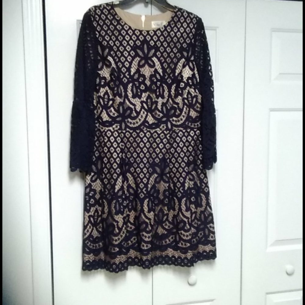 Eliza J Navy Lace Dress 14